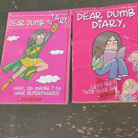 10 paperback books. Dear Dumb Diary, & Rainbow Magic. - Picture 2 of 12